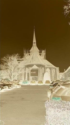 gloria Provins. version 1