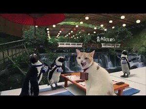 猫CM じゃらん　にゃらん涼旅の巻篇