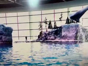 Sesame Street Classics - Dolphin Jump