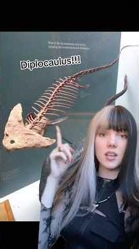 Diplocaulus facts!! #prehistoric #animalfacts #paleontology #dinosaur #dinosaurfacts #gothgirl #fypシ