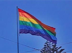 Waving Pride Flag Lgbtq GIF - Waving Pride Flag Pride Flag LGBTQ - Descubrir y compartir GIFs