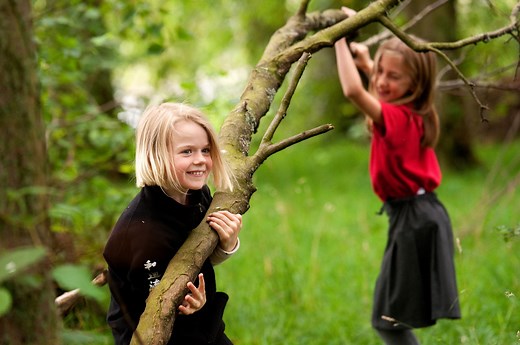 Primary Outdoor Learning and Play | Learning through Landscapes