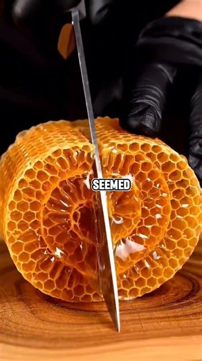 What's the Most insane thing that happened during a Job INTERVIEW?#shorts