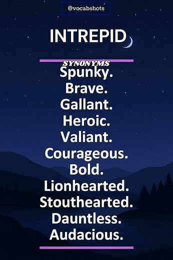 INTREPID Meaning | Synonyms | Usage | Vocab Shorts #vocabshots