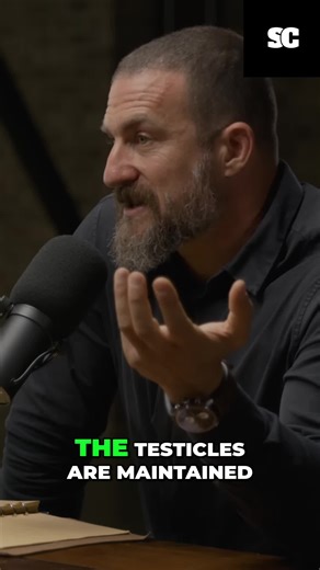 signal_clip (@signal_clip)’s videos with original sound - signal_clip