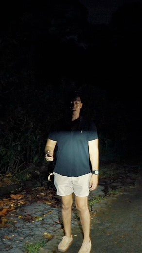 Nitecore Lights on Reels