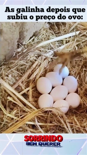 Try not to laugh with the best memes and funny videos of 2026 #funnyvideos #comedy #memes