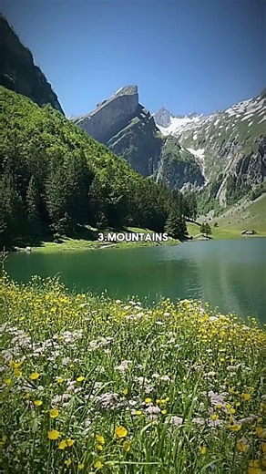 top 5 best creations 👀✨#viral #aesthetic #fypシ゚viral #godscreation #trending #popular