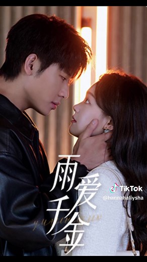 Maid's Revenge: A Chinese Drama Overview