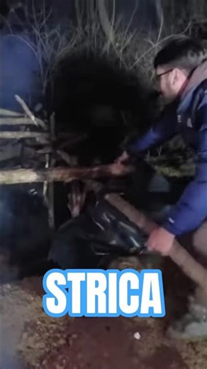 Cornel strica coliba 🛖!! #funnymoments #funny #momenteamuzante #humor