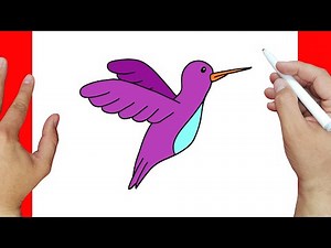 How to draw a hummingbird step by step