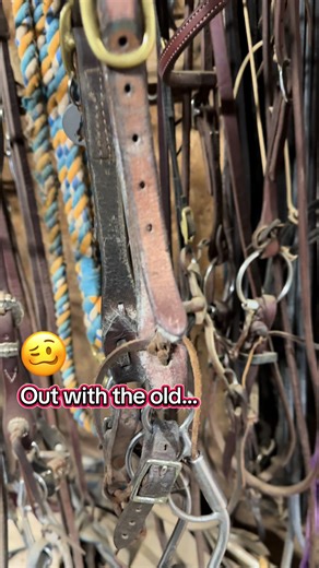 Quick Change Bit Ends for Equestrian Riders