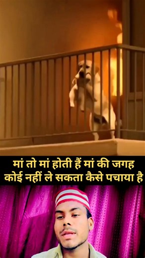 Building for 🍓 🍦Wooden Log Cabin in Forest service that 🎉 | Survival House Step by Step” p-165