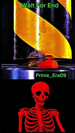 #anime #yosho #trollface