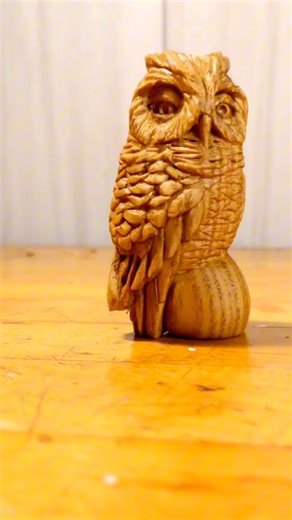 14K views · 310 reactions | SPOTTED OWL FOW SNEEK PEAK | Booth Phillip | Facebook