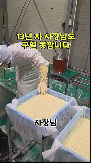 국산인지 수입인지 눈으로 구별할 수 있나요?​13년 차 사장님께 직접 들은 현실적인 답변은 "알 수 없다" 였습니다. 진짜인지 가짜인지 구별할 '꿀팁'이 없다니 충격