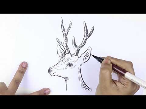 How to draw a Deer head easy./ Deer face drawing.