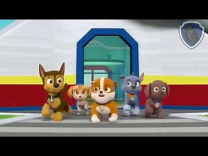 paw patrol clip: Marshall runs away