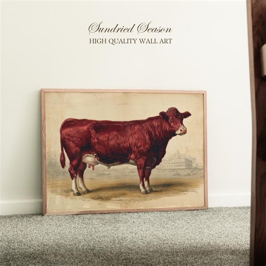 American Milking Devon Cow Wall Art Print, Dairy Cattle and Colonial Farm Livestock, Classic Natural History Illustration, Farmhouse Decor - Etsy UK