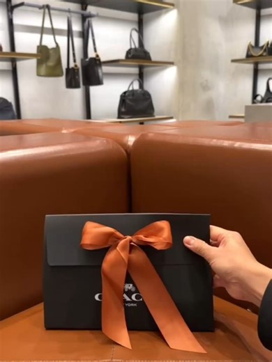 Coach Tabby Chain Crossbody 19: New Season Icon