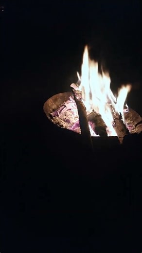 Cozy Campfire ASMR 🔥 Relaxing Fire Sounds for Sleep