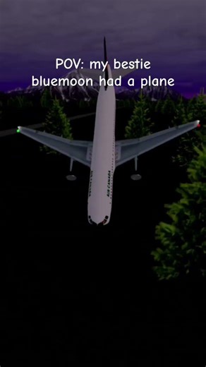 POV if ‪@Moonie-g1w‬ had a plane #helpmemakethismakesense #roblox #funny