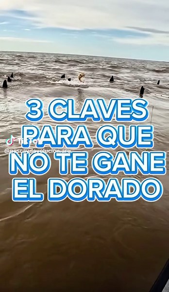 Consejos de pesca: tips y videos para disfrutar