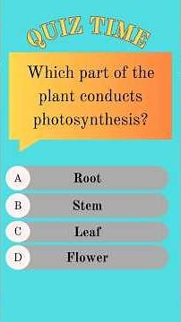 Test Your Brain With These Easy Questions! #shorts #quiz #generalquiz