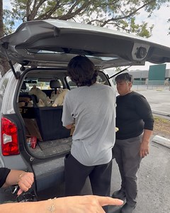 Miami Animal Rescue on Reels