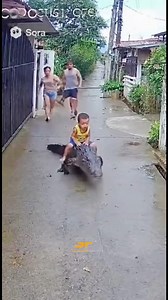 110K views · 513 reactions | Grabe ang buaya na ito kita sa CCTV﫣 . . . . Disclaimer: This is Al-generated and does not exist in reality. For entertainment purpose only. | Sulibangko Pare | Facebook