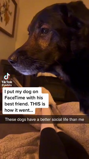 19K views · 753 reactions | Delicious Memes on Reels | Facebook