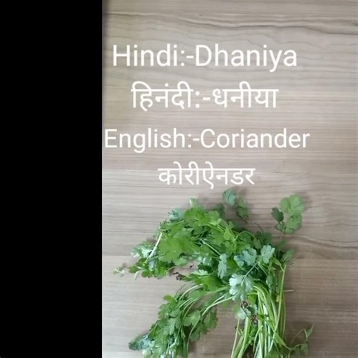 Dhaniya Ko English Main Kya Kehte Hain?