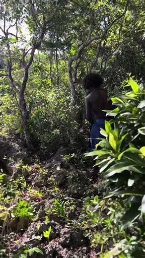 ANEP📍#fypシ #pourtoi #yaaynord🌴❤️ #trouedestortue 🐢