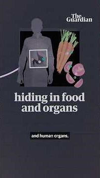How microplastics could lead to millions of people starving