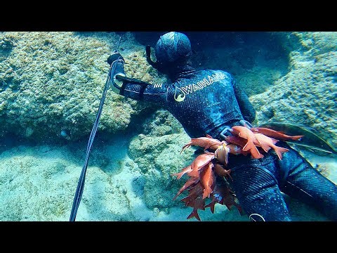 3-Prong Spearfishing In Hawaii For Aweoweo, Menpachi, and More! | Aweoweo And Menpachi Catch N' Cook