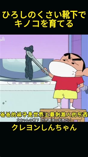 ひろしの靴下でキノコを育てるなんて、すごく不思議！ #クレヨンしんちゃん #クレヨンしんちゃん #コントチャンネル #アニメ #コント #面白い #funny