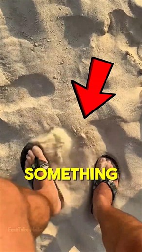 He Saw Something Moving in the Sand… Then This Happened 😳