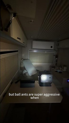 The wind is howling outside, but it's so comfortable to be inside a tricycle watching Man vs. Wil...