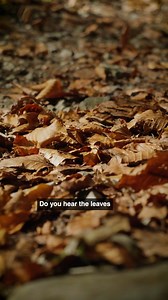 Autumn in Switzerland is a great time to stop, relax and listen to everything around you. What are your favourite autumnal sounds? 🍂✨ For more information, visit: https://www.myswitzerland.com/en-ch/experiences/summer-autumn/autumn/autumn-the-most-sensual-season/ | Switzerland