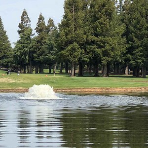 Kasco 3/4 HP 3400AF Surface Aerator 115V or 230V