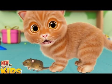 Cat Song| The little kitten song | Nursery rhymes for kids & song | Cartoon video