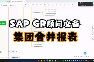 GR集团合并 报表第1讲：组织架构和主数据