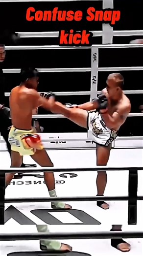 Snap kick #tutorial#taekwondo#boxing#motivation #training#speed#power#shorts