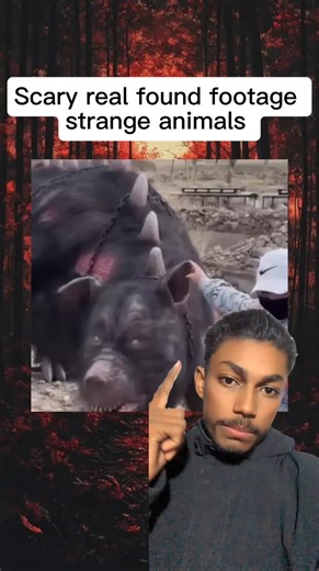 Scary real found footage strange animals #scary #halloween #horror #spooky #creepy