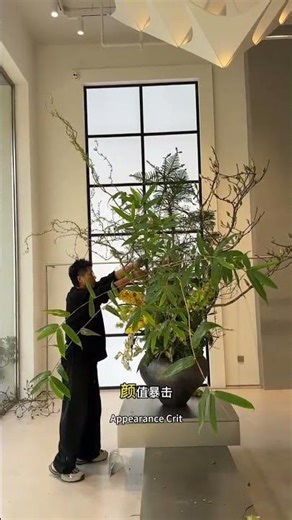 Month-Long Flower Arrangement: The Secret to Long-Lasting Blooms