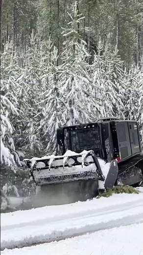 Prinoth Raptor 500 | Extreme Land Clearing Equipment #Shorts