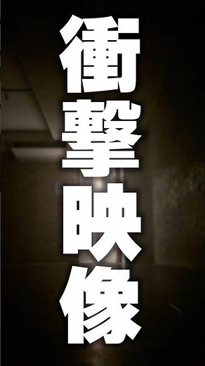 衝撃映像 #すにすて #shorts #fyp