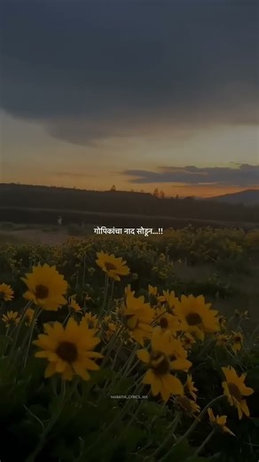 ll Marathi lyrics ll #marathi #status #viralshorts #love #song #travel #feed #lovemusic #adityahage