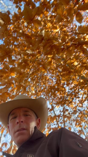 121 reactions · 5 comments | The ES20 colt starting program is up and running. Check it out @b1horsemanship #es20 #coltstarting #beone | B1 Horsemanship | Facebook