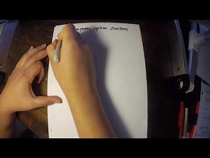 Human Anatomy - Lymphatic System